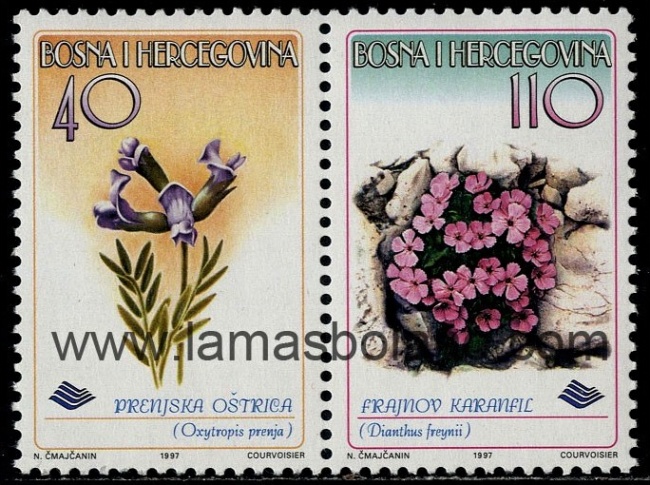 Po�tovn� zn�mky s Dianthus freynii